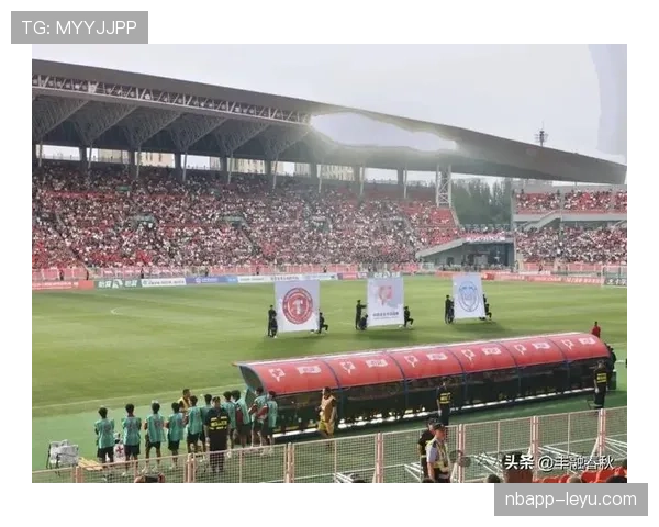 激情绿茵汇聚——球迷盛会点燃足球文化新热潮