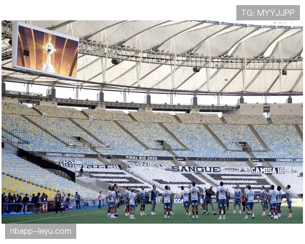 南美足球体能优势解析：激情与耐力铸就世界级球员耀眼表现